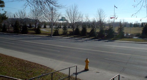 View shows fire hydrant and, across a street, a green park with short trees at the edge and a gazebo within